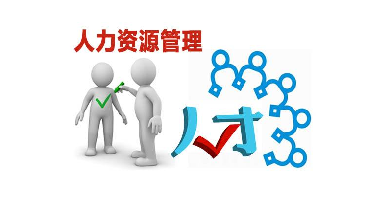 人力資源管理培訓機構與人力資源服務供應商綜合評估與選擇指南